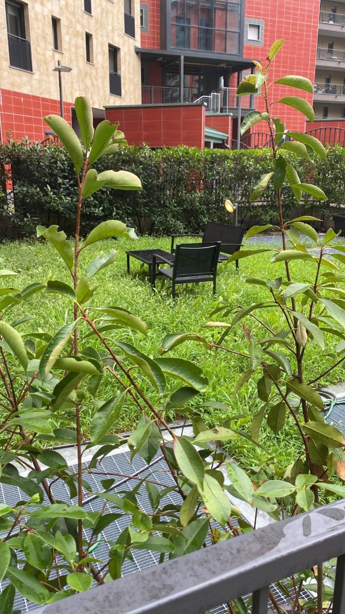 Cos54 - Exclusive Apartment With Garden In מילאנו מראה חיצוני תמונה